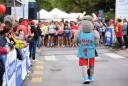 6. Istrski maraton, Hoferjev rekreativni tek