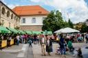 5. Dobrodelni Festival palačink