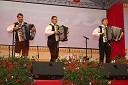 Festival Avsenik 2008