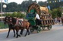 Festivalska kočija